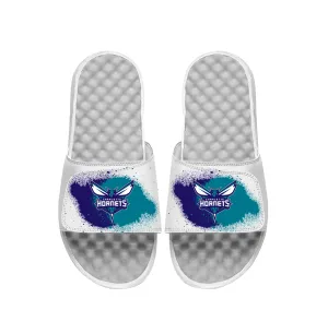 Charlotte Hornets Spray Paint Slides