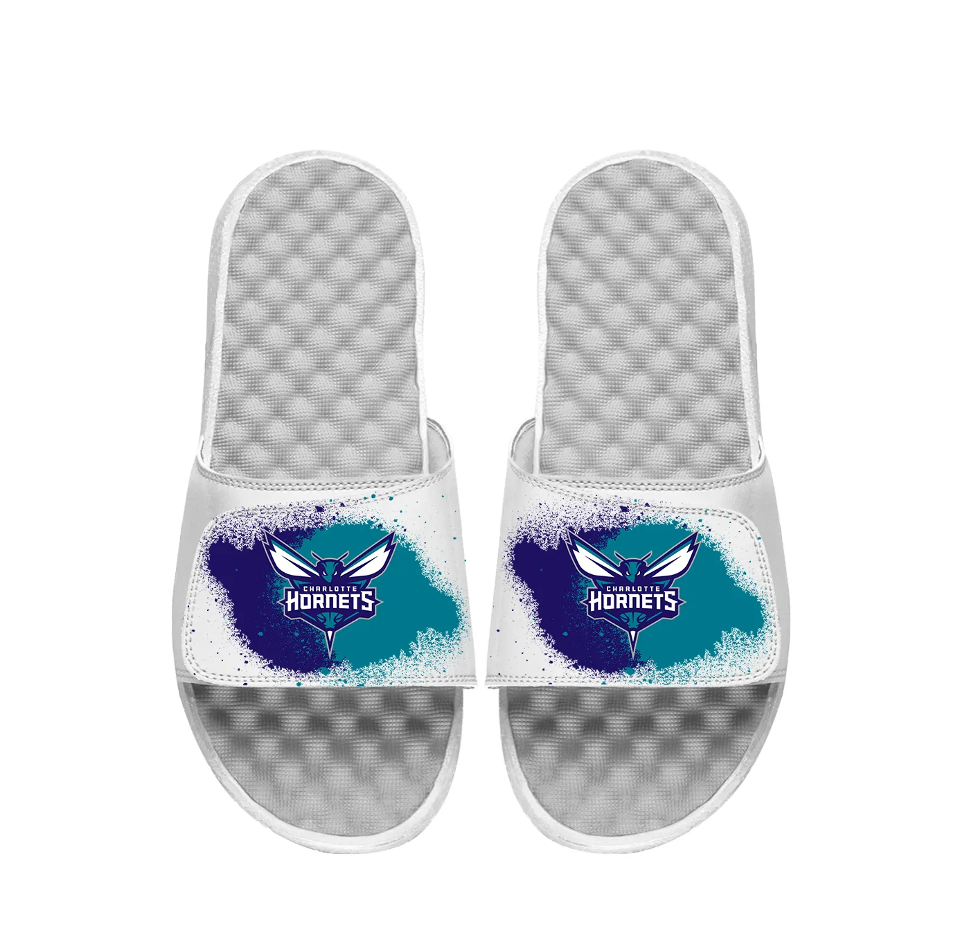 Charlotte Hornets Spray Paint Slides