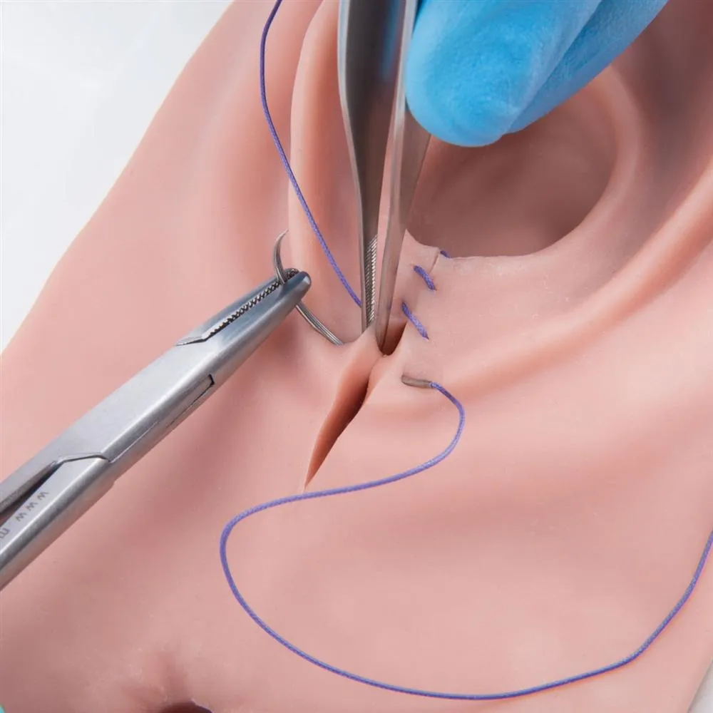 Episiotomy and Suturing Simulator, Light