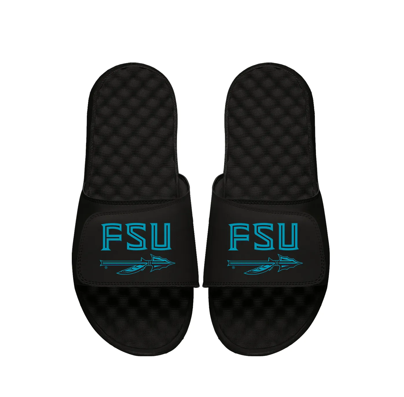 FSU Stacked Turquoise Logo