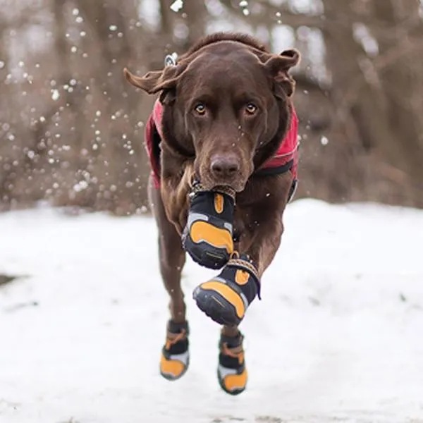 Kurgo LED Step-n-Strobe Dog Shoes