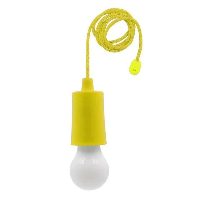 Portable Light Bulb